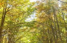 La Dimora in Pietra - Foto 49