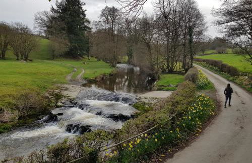 Lletty Ann wynn at Fraithwen Cottages - Foto 21
