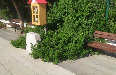 Beachside Loft near Dubrovnik - Foto 48