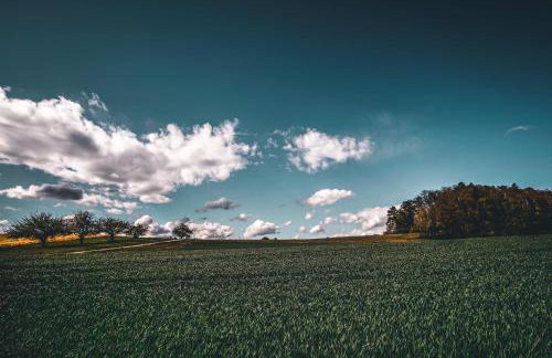 Secret Garden - Foto 71