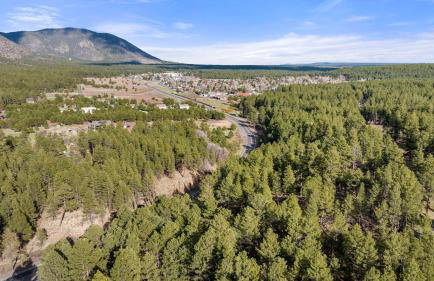 The Cozy Cottage - Foto 46