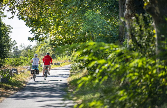 Domaine Les Tamaris & Portes du Soleil - Foto 33