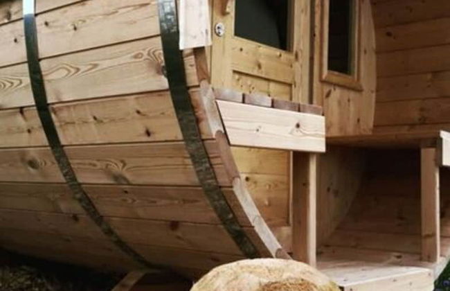 Holiday Apartment Rappenfels Lodge - Photo 4