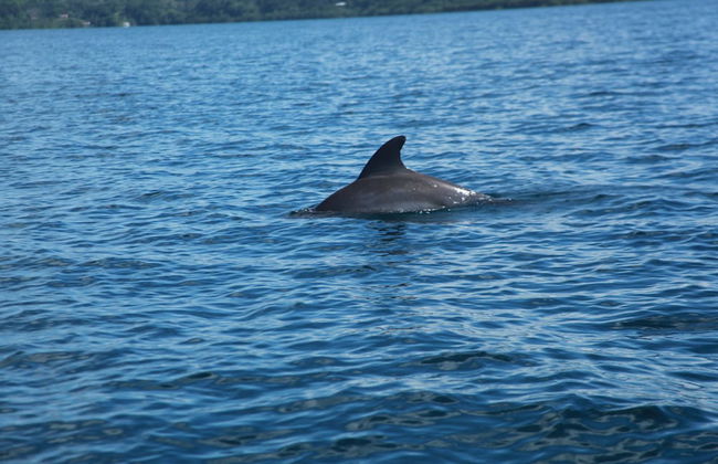 Residencia Natural - Photo 27