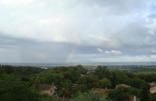 Appartements Luccisano - Foto 50