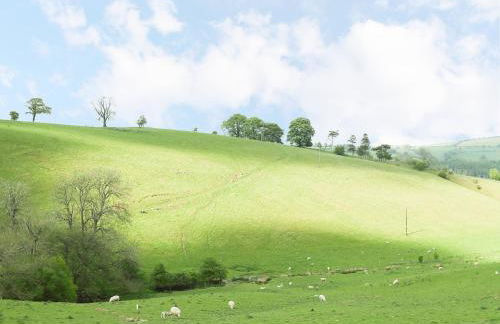 Rolling Hills - Foto 27