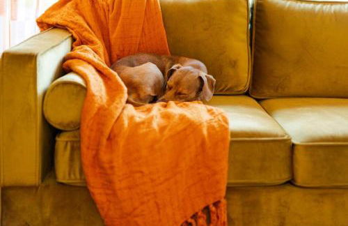 PingPong-YardGames-NewKitchen - Foto 23