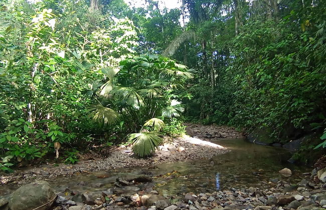 Cabaña Nuisuni - Foto 9