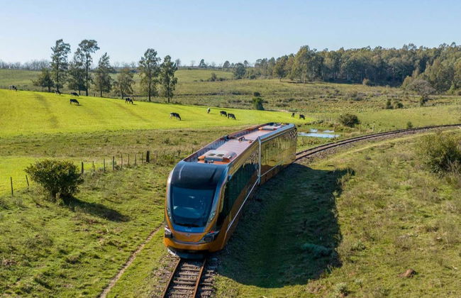 Paseo en el Tren de Pampa + Visita a la bodega Almadén - Foto 8