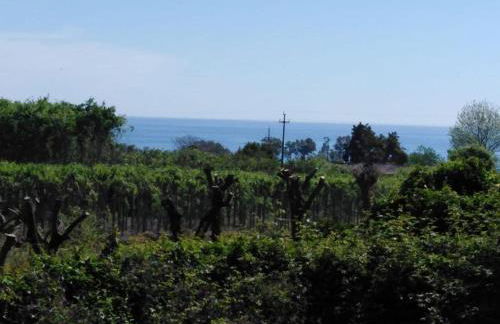 Casa Vacanza SalGiò - Photo 37