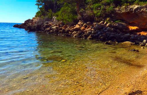 La Perla De la Ostra - Foto 34