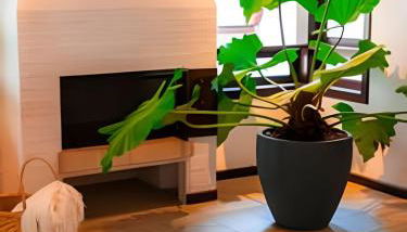 Casa VillaMar. - Foto 4