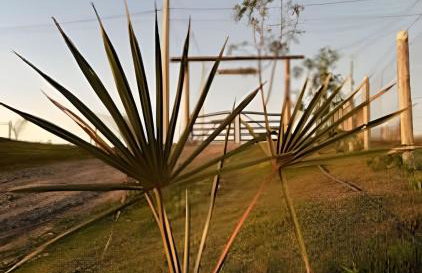 Chalé Recanto cabana mais bonita do lago Corumbá - Photo 57