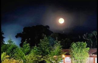 Chalé Romântico Salesópolis - banheira de hidromassagem e condomínio resort - Foto 21