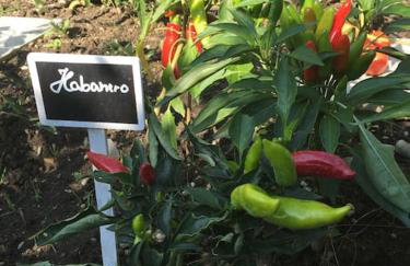 Privat Apartment- Near Strasbourg, Baden Baden - Foto 17