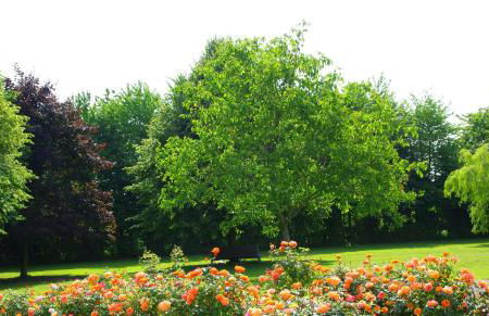 Ferienwohnung Wiesenblick - Foto 7