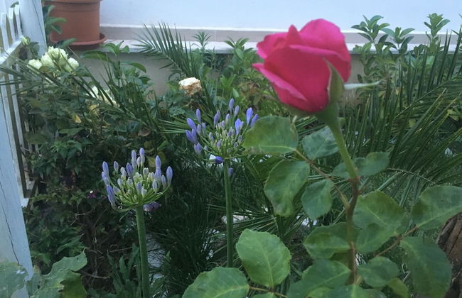 Villa Lory - Foto 35