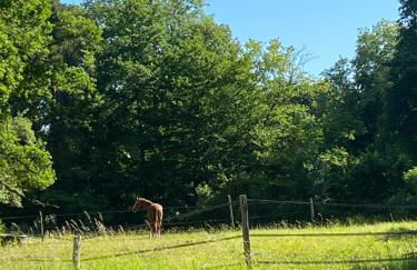 Charmant chalet - Foto 10