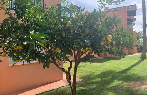 Schönes Penthouse mit Meerblick Pura Vida - Photo 16