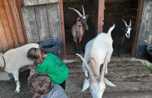 Samsara - Prawdziwa Agroturystyka - Photo 16