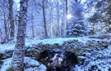 GITE DES 3 JONQUILLES - Foto 18