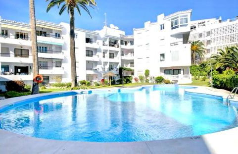 Palmeras 81 - Foto 33