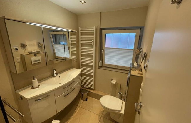 Herring Gull - Foto 9