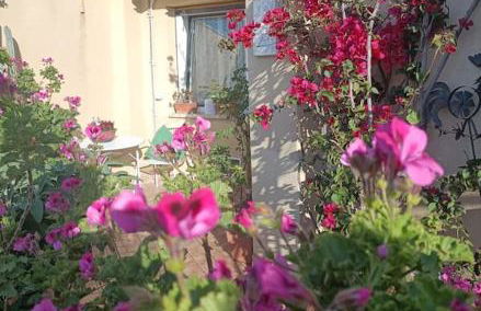 Le Buganville - Foto 19