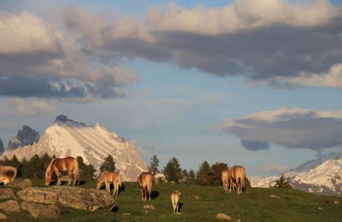 Unterpfaffstall-Hof - Foto 73