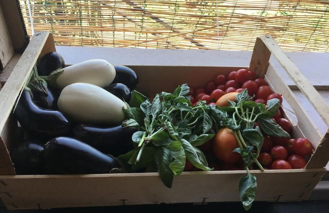 Apartment With Garden Close To The Beach - Foto 25