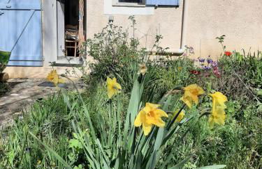 Studio Bas Verdon - Foto 17