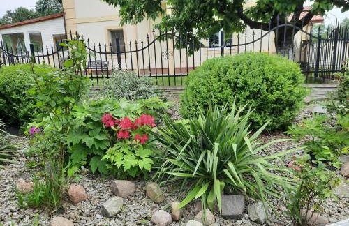 Dom wakacyjny-Czereśniowy Sad - Foto 22