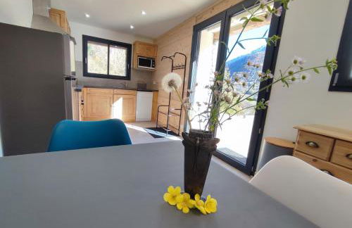Le Bois Cosy appartement 4 étoiles 6 personnes, ACCES SKI ALPE D'HUEZ GRAND DOMAINE A 3 K M - Foto 45