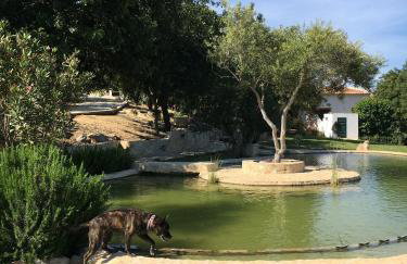 Rustic Villa Tavira with Mountain Views and Pool - Foto 16