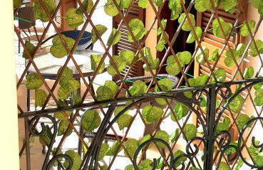 Sunny Almond Studios - Foto 10