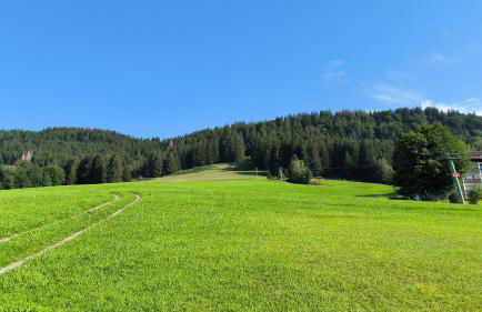 Ferienwohnung Allgäuerle 1604 Ski in Ski out an der Skipiste mit Hallenbad Sauna - Photo 36