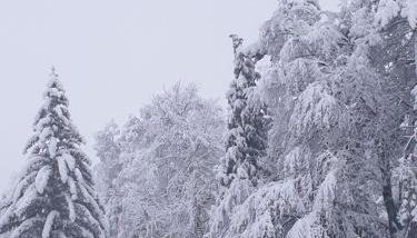 LE SCHMOUTZ: Charmant duplex entre Colmar et Mulhouse (1-4 pers) - Foto 5, Garden view