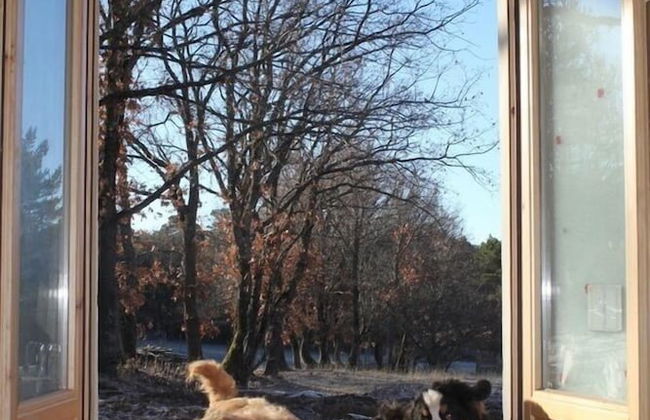 Eco Urbión - Foto 62