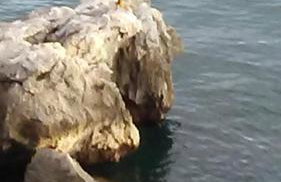 Eco Secluded apartments Zabodarski - Foto 10