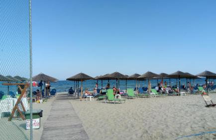 Verginia Studios - Photo 15