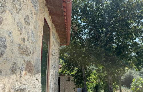 Refúgio Rural - Gerês - Foto 50