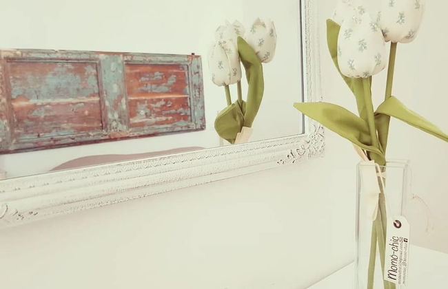 La Viola e il Sole - Foto 20