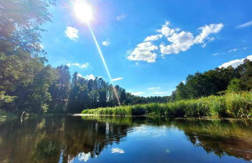 Balans nad Jeziorem - Foto 53