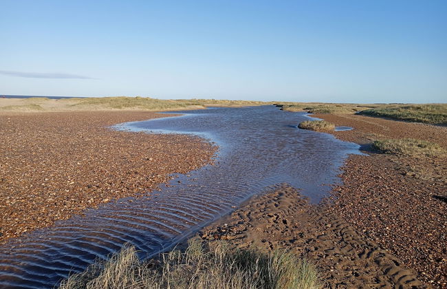 Stunning Driftwood Cottage at Holme-next-the-sea - Foto 15