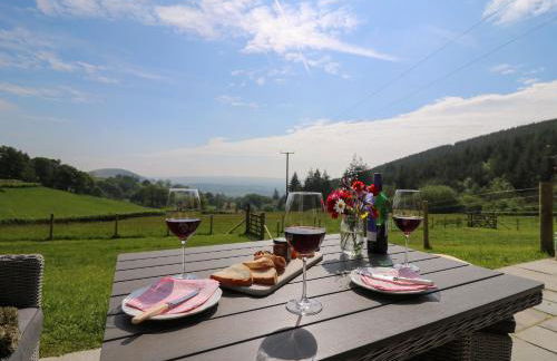 Dol Blodau - Photo 21