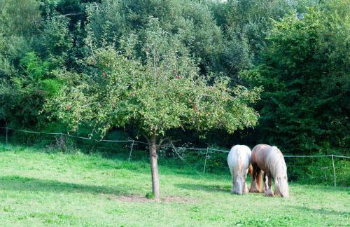 Gite Ferme d'Ervée de Saint-Roch - Foto 12