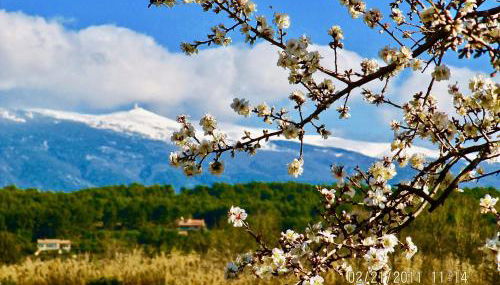 le vieux pont - Photo 5