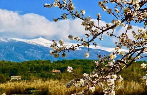 le vieux pont - Foto 5