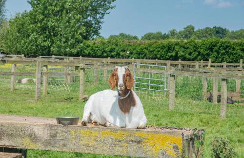 Cowslip Cottage- W43122 - Photo 29