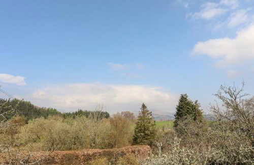 Gilfachwydd - Foto 47